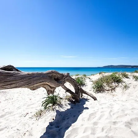 Luxury Seafront With Rooftop Pool & Stunning Sea Views